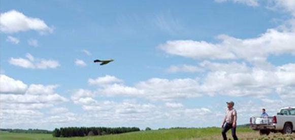 Drones dans le processus agriculture 